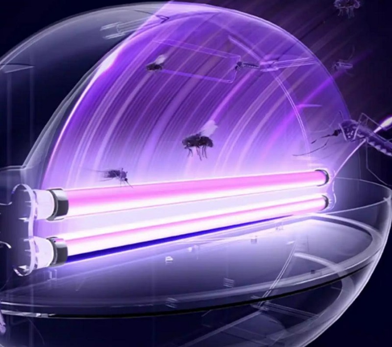 Rekomendasi Pemilihan Lampu Pembunuh Lalat LED